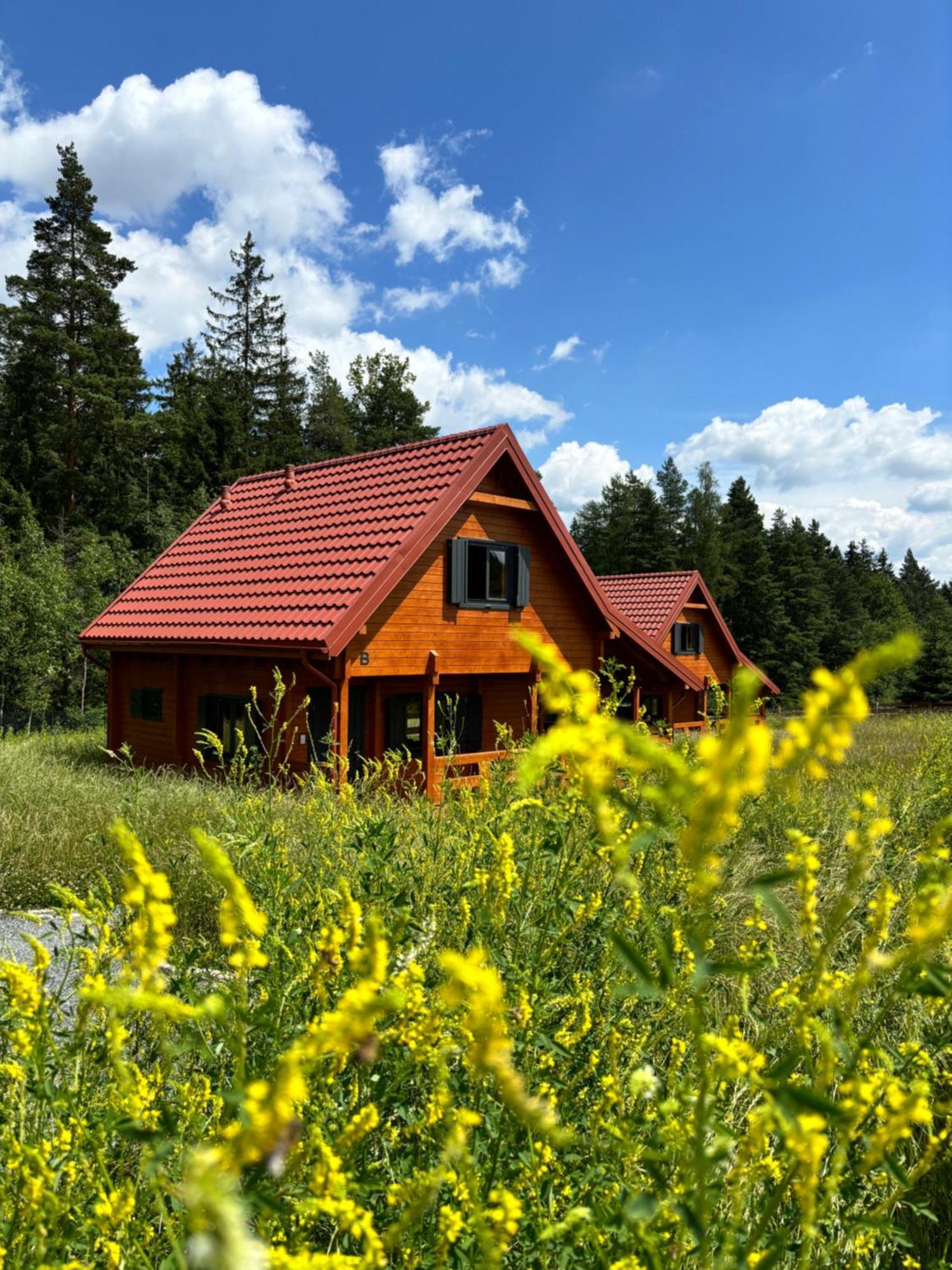 Chalet Okno Na Polanica-Zdroj
